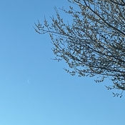 Crescent moon in the sky