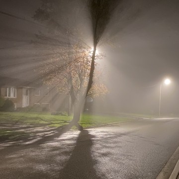 Eerie fog in Trenton, ON 5/05/24
