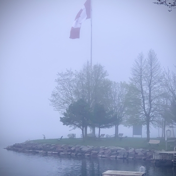 Flag in the fog