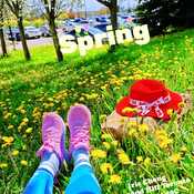 May 7 2024 20C I love Spring!The most beautiful season in the year! Iris Chong