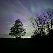 Aurora Borealis Southern Ontario