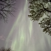 Aurora boreales