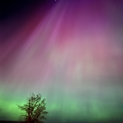 Northern Lights in Southern Alberta
