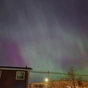 Vivid Northern Lights Display Over PEI