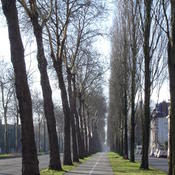 beau chemin cycliste a Lille, France