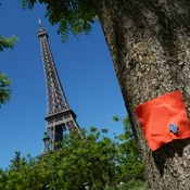 papillon rouge et tour Eiffel solidaire