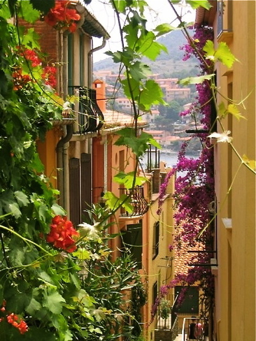 maisons fleuries Banyuls-sur-Mer, Languedoc-Roussillon France