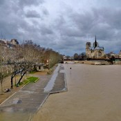 La Seine gonfle au pied de Notre Dame .