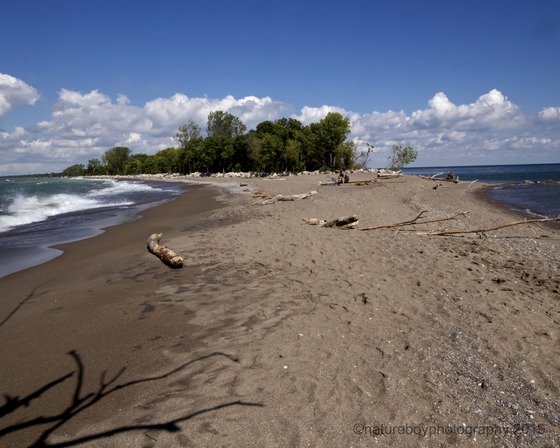 A view from the tip of Point Pelee