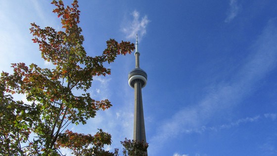 Autumn tower