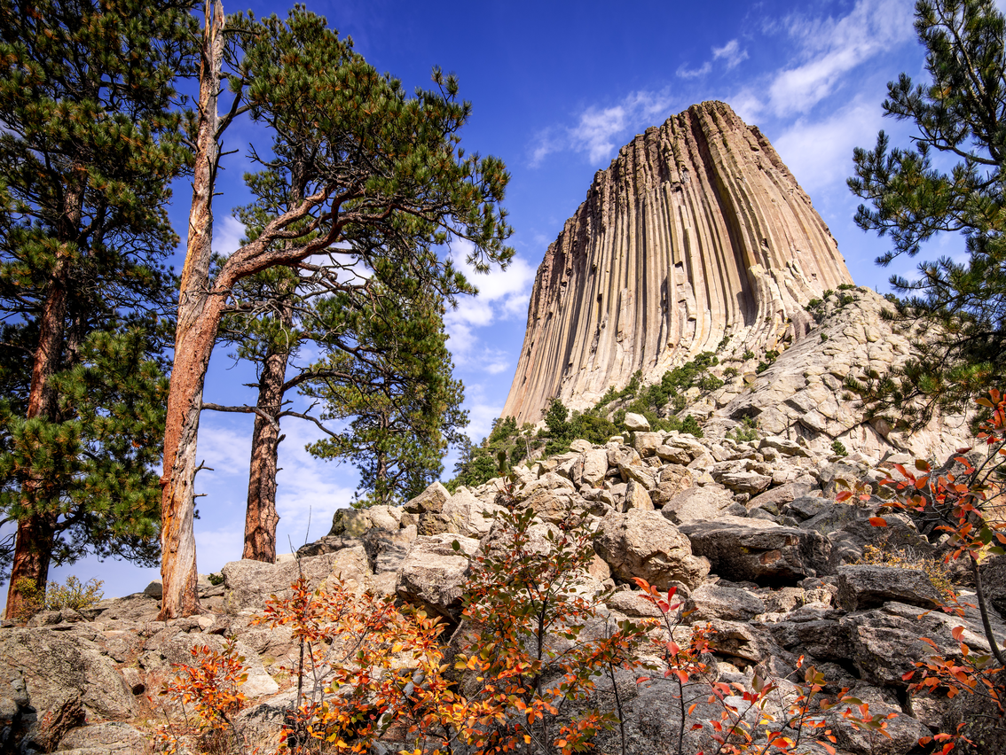 Devils Tower National Monument 
