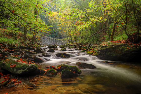 Norman Lathrop, Great Smoky Mountains National Park